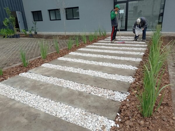 Plantación y colocación de Cesped - Image 2